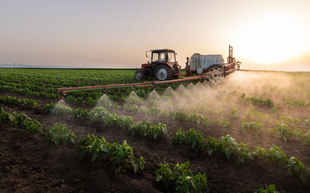 Best Best Pest Control Companies  in Altoona, IA