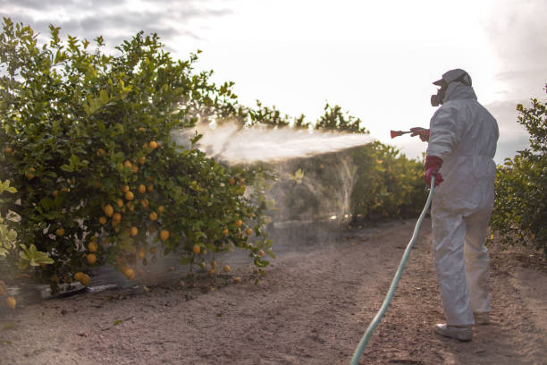 Best Insect Control  in Altoona, IA