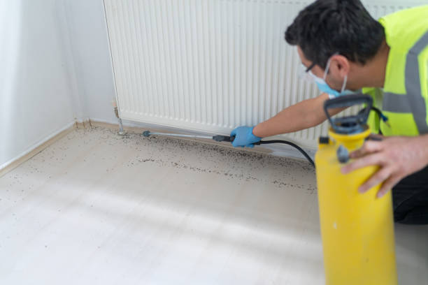 Trusted Altoona, IA Pest Control Experts